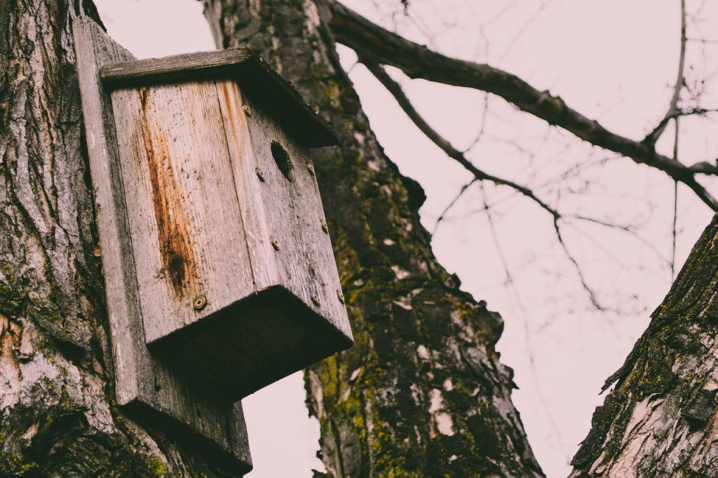 Wooden bird house on tree