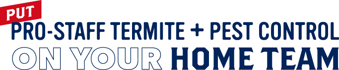 put pro-staff termite + pest control on your home team